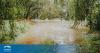 World Bank backs flood resilience project in Brazil’s Santa Catarina with US$119.2M investment
