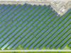 Uniper signs Polish solar PPAs