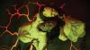 Year-round haunted houses at Universal Horror Unleashed is frightening fun in Las Vegas