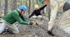 Why Colorado became the first state to protect forests in its constitution