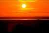 Antrim and Newtownabbey: Phase two of proposed solar farm could power 5,000 homes