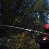 Thousands flee raging wild fires in southern Europe