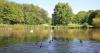 Environment Agency release update on algae in Hemlington Lake