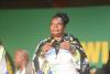 DA calls for immediate lifestyle audit of minister Dina Pule