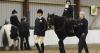 Riding centre launches fundraiser after disease forces it to close