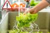 Michigan Parasite Outbreak Explodes to More Than 570 Cases