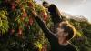 Reporter's notebook: Life blooms again as visitors return to Israel's northern border