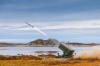 Kuwait Orders NASAMS Air Defense System in $400 Million Kongsberg-Raytheon Deal