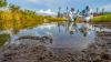 Funding the fight against corporate polluters