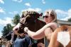 A cow beauty pageant honors rural Pennsylvania’s shrinking dairy industry
