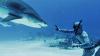 Forrest Galante says most shark bites are a case of mistaken identity as Florida attacks lead the US