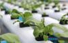 FAMA Strengthens Agro-Food Digital Marketing Ecosystem