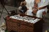 Ethiopia's coffee export not threatened by EU deforestation regulation official