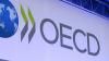 [Economy Insights] OECD Warns South Korea Over Semiconductor Dependence