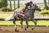 European raiders sweep weekend Grade 1 turf races at Saratoga