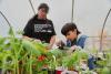 New England tribes hope Farm Bill can feed more people and preserve Indigenous culture