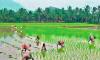 Farmers Stage Protest by Sitting in Canal for Irrigation Water