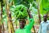 East Africa urged to embrace agroecology to strengthen food security and climate resilience