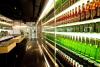 Sapporo to invest $643m in Asia joint venture with Carlsberg