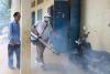 Nearly 600 Dengue Cases Reported in Kandal Outbreak as Health Officials Step Up Response