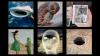 This Week's Weird News 6/25/21