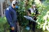 Costa Rica Confirms Chikungunya Outbreak in Guanacaste Beach Town
