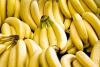 DA to strengthen disease mitigation for bananas
