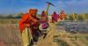 Union govt delegation praises implementation of rural development schemes in Karnataka