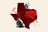 Cat Fleas Linked to Fatal Human Disease in Texas