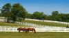 This KY City Is One Of Travel And Leisure’s Top 50 2021 U.S. Destinations