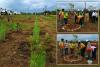 Odisha gets first bee corridor along NH-16