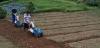 FAO training equips Dominican farmers with modern irrigation and crop management skills