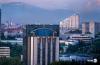 Central Bank reports sharp increase in job seekers across Uzbekistan.