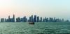 Energy, logistics niches seen to accelerate Qatar's startup ecosystem