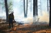 Prescribed burns drive 20% of US South’s air pollution
