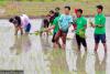 Late monsoon slows Nepal’s paddy transplantation, but experts say there’s no need to worry