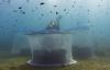 Marine tech firms INVE, Ecocean team up to enhance fish nursery programs