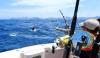 5th Edition Maja El Grande Tournament Adds El Gran Ceviche and Waiters’ Race in La Paz