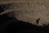 Illegal mining fuels new conflicts in Peru, threatens ancient dig site