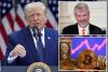 Bitcoin bounces back after Trump calls himself ‘a big crypto guy’