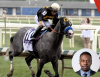 What Derby parties can teach Maryland about the Preakness