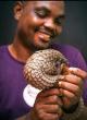 Nigerians Face Rising Zoonotic Disease Threat from Bushmeat Trade – Veterinarian