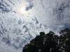 Asheville weather: Scattered thunderstorms expected through Sunday