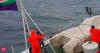 Ship stranded off Manori coast in north Mumbai amid heavy rains; Coast Guard alerted, say cops