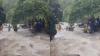 Over 100 tourists rescued after flash flood near popular Maharashtra waterfall, video goes viral