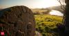 Greek Proverb of the Day: 'The mills of the gods grind slowly, but...'- A timeless lesson on justice, patience, and the unstoppable power of time