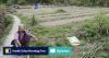 Hong Kong’s Northern Metropolis project needn’t neglect agriculture
