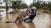 Australian man survives drowning by Kangaroo year after shark attack