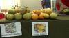 Local Vendors Shine At Mango Melee 2026