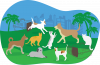 City invites public comment on proposed Dog and Cat spay and neuter rules 